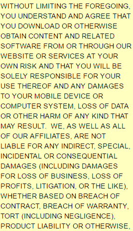 Disclaimer - Warranty Part 5