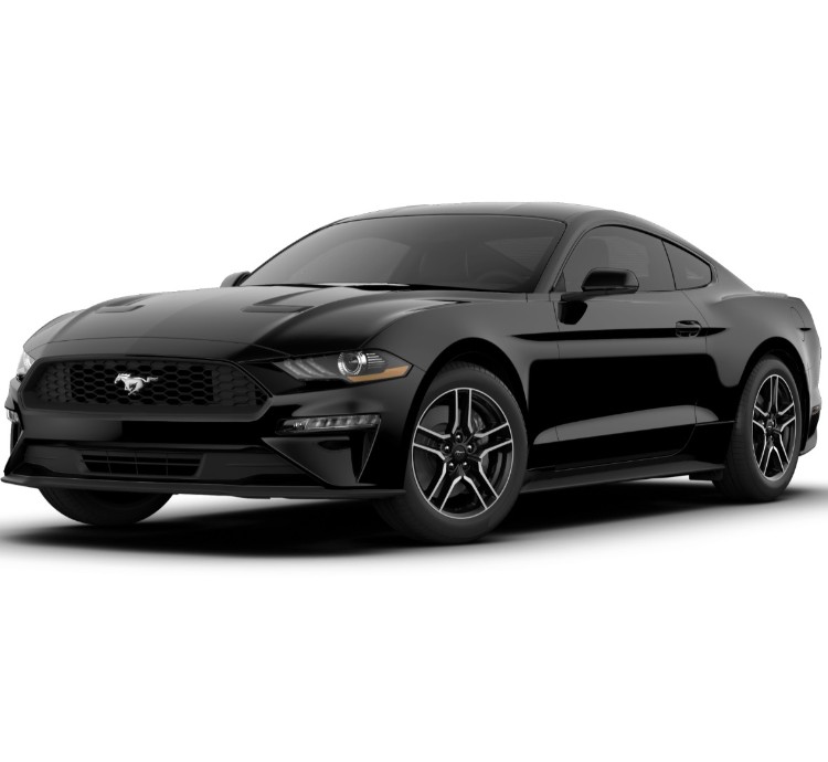 2019 Mustang Color Chart