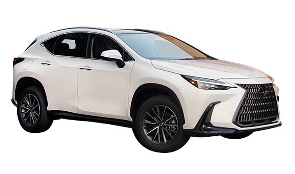 2024 Lexus NX Invoice Price Guide - Holdback - Dealer Cost - MSRP